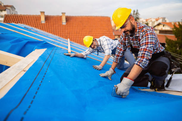 Best Metal Roofing Contractor  in Anderson Creek, NC